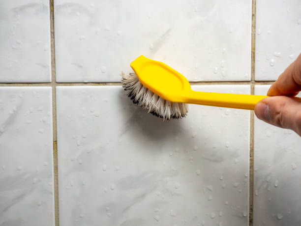 Best Attic Mold Removal  in Lyndhurst, OH