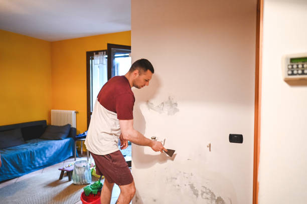 Best Same-Day Mold Removal  in Lyndhurst, OH